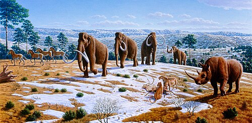 Pleistocene megafauna